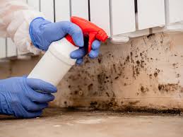 Mold Prevention & Removal